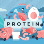 does protein burn fat without exercise