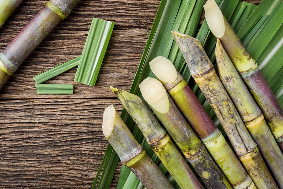 sugarcane juice nutrition facts