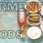 what are fermented foods