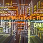 basal metabolic index calculator