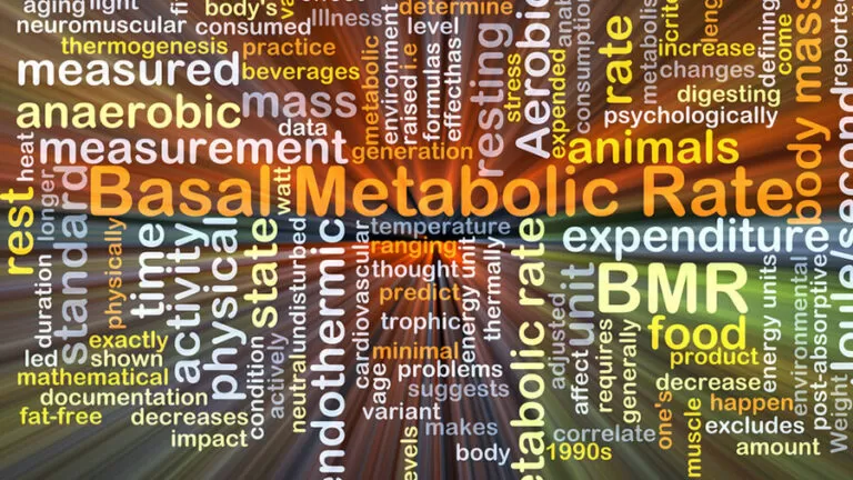 basal metabolic index calculator