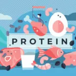 does protein burn fat without exercise