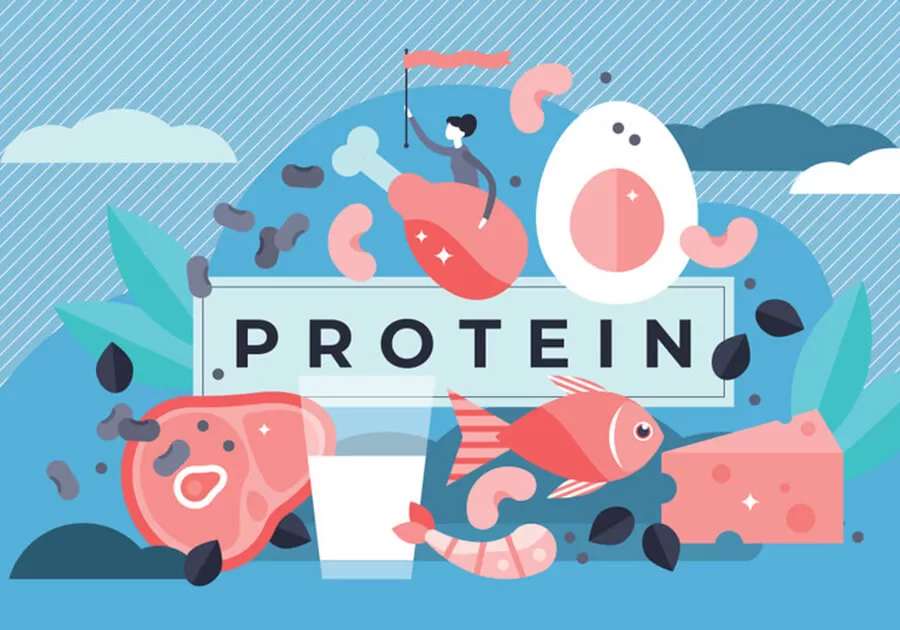 does protein burn fat without exercise