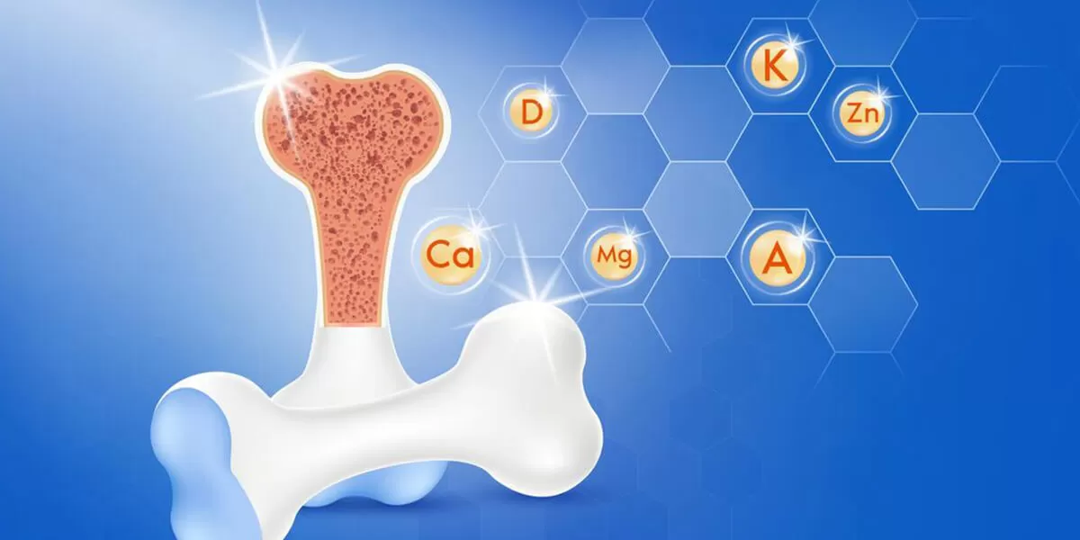 best calcium for osteoporosis
